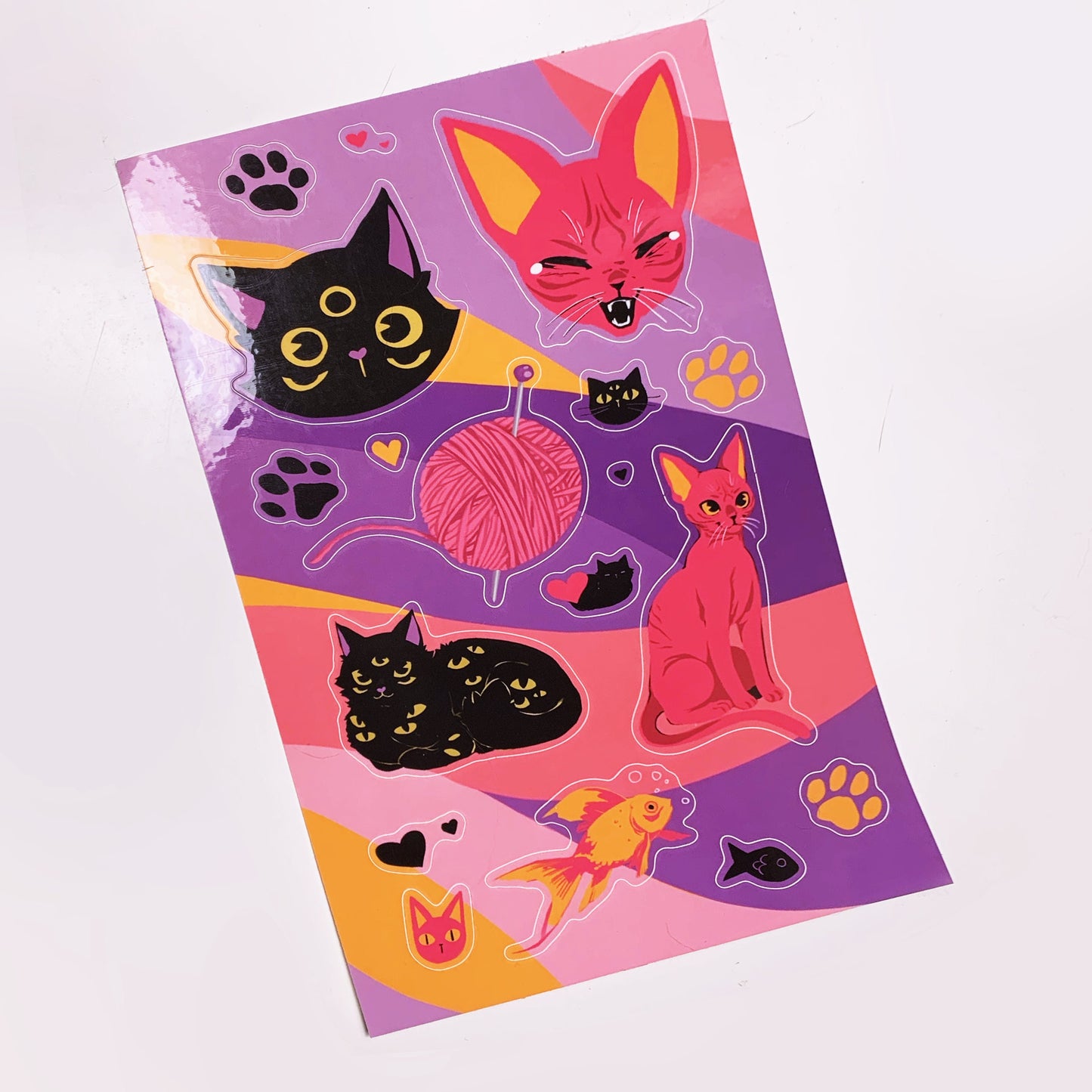 Eyze Black Cat
